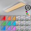 Orain Plafoniera, Panel LED Bianco, 1-Luce, Cambia colore