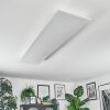Orain Plafoniera, Panel LED Bianco, 1-Luce, Cambia colore