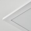 Orain Plafoniera, Panel LED Bianco, 1-Luce, Cambia colore