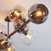 Koyoto Plafoniera, Lampada a sfera Ambrato, Cromo, Chiaro, Grigio fumo, 8-Luci