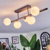 Chehalis Plafoniera, Lampada a sfera Nero, 5-Luci