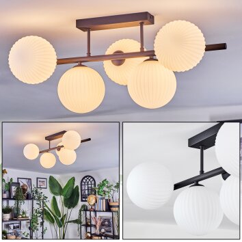 Chehalis Plafoniera, Lampada a sfera Nero, 5-Luci Chehalis Plafoniera, Lampada a sfera Nero, 5-Luci