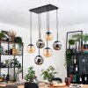 Gastor Lampadario a sospensione, Lampada a sfera, Lampada a sospensione Nero, 6-Luci