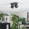 Narel Plafoniera, Faretto da soffitto LED Nero, 2-Luci