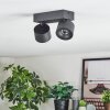 Narel Plafoniera, Faretto da soffitto LED Nero, 2-Luci