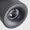 Narel Plafoniera, Faretto da soffitto LED Nero, 2-Luci