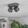 Narel Plafoniera, Faretto da soffitto LED Nero, 2-Luci