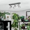 Javel Plafoniera, Faretto da soffitto Cromo, Grigio, 3-Luci