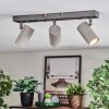 Javel Plafoniera, Faretto da soffitto Cromo, Grigio, 3-Luci