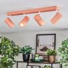 Javel Plafoniera, Faretto da soffitto Fucsia, Bianco, 4-Luci
