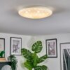 Peran Plafoniera LED Bianco, 1-Luce, Cambia colore