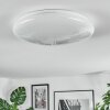 Peran Plafoniera LED Bianco, 1-Luce