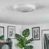 Peran Plafoniera LED Bianco, 1-Luce