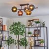Koyoto Plafoniera, Lampada a sfera Blu, Cromo, Oro, Verde, Ramato, Grigio fumo, 5-Luci