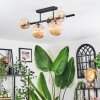 Chehalis Plafoniera, Lampada a sfera Ambrato, 5-Luci