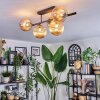 Chehalis Plafoniera, Lampada a sfera Ambrato, 5-Luci