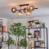 Koyoto Plafoniera, Lampada a sfera Chiaro, Grigio fumo, 5-Luci