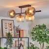 Koyoto Plafoniera, Lampada a sfera Ambrato, Chiaro, Grigio fumo, 5-Luci