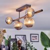 Chehalis Plafoniera, Lampada a sfera Grigio fumo, 5-Luci