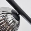 Chehalis Plafoniera, Lampada a sfera Grigio fumo, 5-Luci