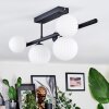 Chehalis Plafoniera, Lampada a sfera Bianco, 5-Luci
