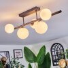Chehalis Plafoniera, Lampada a sfera Bianco, 5-Luci