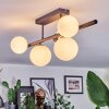Chehalis Plafoniera, Lampada a sfera Bianco, 5-Luci