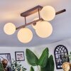 Chehalis Plafoniera, Lampada a sfera Bianco, 5-Luci