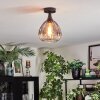 Rafel Plafoniera Nero, 1-Luce