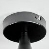 Rafel Plafoniera Nero, 1-Luce