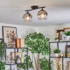 Koyoto Plafoniera, Lampada a sfera Cromo, Chiaro, Grigio fumo, 2-Luci
