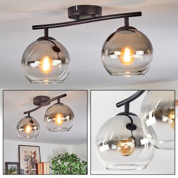 Koyoto Plafoniera, Lampada a sfera Cromo, Chiaro, Grigio fumo, 2-Luci