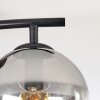 Koyoto Plafoniera, Lampada a sfera Chiaro, Grigio fumo, 2-Luci