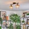 Koyoto Plafoniera, Lampada a sfera Ambrato, Chiaro, 2-Luci