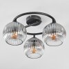 Ripoll Plafoniera, Lampada a sfera Chiaro, Grigio fumo, 3-Luci Ripoll Plafoniera, Lampada a sfera Chiaro, Grigio fumo, 3-Luci