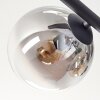 Gastor Plafoniera, Lampada a sfera Ambrato, Chiaro, Grigio fumo, 5-Luci