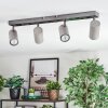 Javel Plafoniera, Faretto da soffitto Cromo, Grigio, Nero, 4-Luci