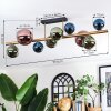 Chehalis Plafoniera, Lampada a sfera Oro, Nero, 10-Luci