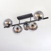 Gastor Plafoniera, Lampada a sfera Chiaro, Grigio fumo, 5-Luci