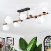 Chehalis Plafoniera, Lampada a sfera Oro, Nero, 10-Luci