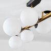 Chehalis Plafoniera, Lampada a sfera Oro, Nero, 10-Luci