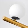 Chehalis Plafoniera, Lampada a sfera Oro, Nero, 10-Luci
