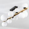 Chehalis Plafoniera, Lampada a sfera Oro, Nero, 10-Luci