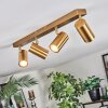 Javel Plafoniera, Faretto da soffitto Oro, 4-Luci
