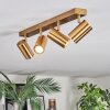 Javel Plafoniera, Faretto da soffitto Oro, 4-Luci