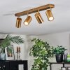 Javel Plafoniera, Faretto da soffitto Oro, 4-Luci