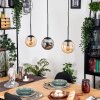 Gastor Lampadario a sospensione, Lampada a sfera, Lampada a sospensione Ambrato, Grigio fumo, 3-Luci Gastor Lampadario a sospensione, Lampada a sfera, Lampada a sospensione Ambrato, Grigio fumo, 3-Luci