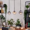 Gastor Lampadario a sospensione, Lampada a sfera, Lampada a sospensione Ambrato, Chiaro, Grigio fumo, 3-Luci