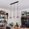 Gastor Lampadario a sospensione, Lampada a sfera, Lampada a sospensione Ambrato, Chiaro, Grigio fumo, 3-Luci