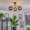 Gastor Plafoniera, Lampada a sfera Blu, Verde, Ramato, 3-Luci